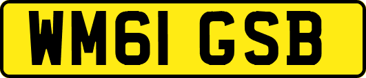 WM61GSB