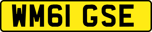 WM61GSE