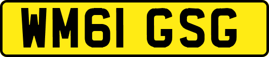 WM61GSG