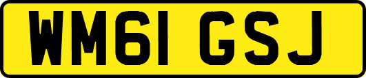 WM61GSJ
