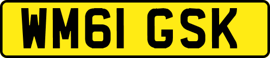 WM61GSK
