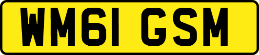 WM61GSM