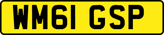 WM61GSP