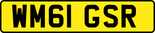 WM61GSR