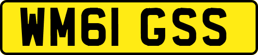 WM61GSS