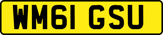WM61GSU
