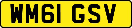 WM61GSV