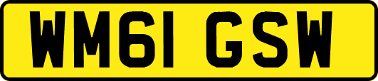 WM61GSW