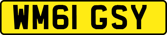WM61GSY