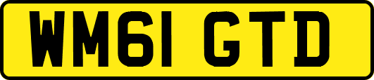 WM61GTD