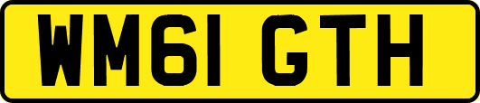 WM61GTH