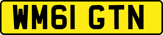 WM61GTN