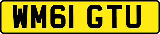 WM61GTU