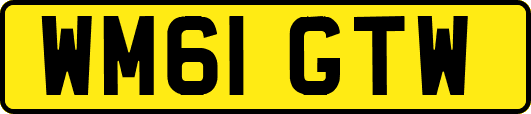 WM61GTW