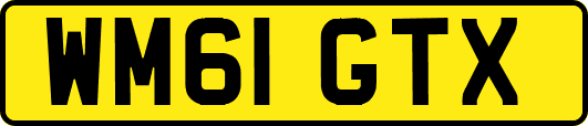 WM61GTX