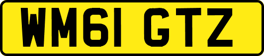 WM61GTZ