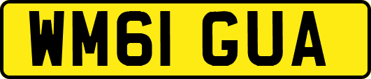 WM61GUA