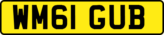 WM61GUB