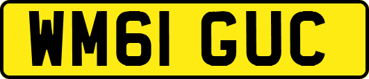 WM61GUC
