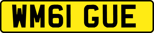 WM61GUE