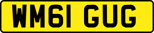 WM61GUG