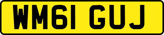 WM61GUJ