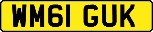WM61GUK
