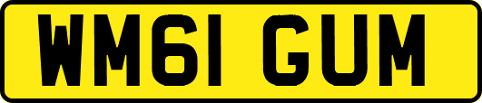 WM61GUM