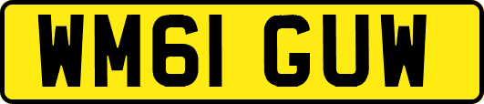 WM61GUW