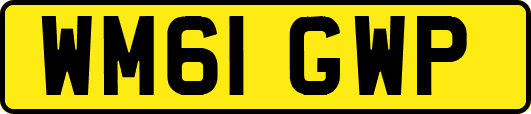 WM61GWP
