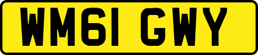 WM61GWY