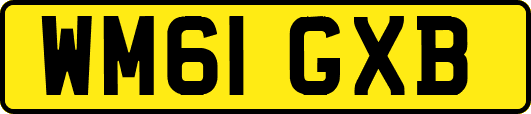 WM61GXB