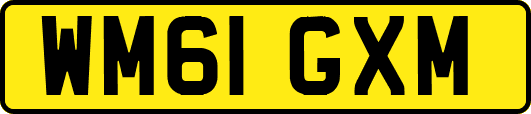 WM61GXM