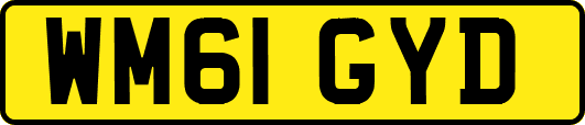 WM61GYD