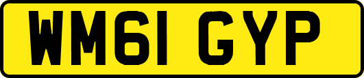 WM61GYP