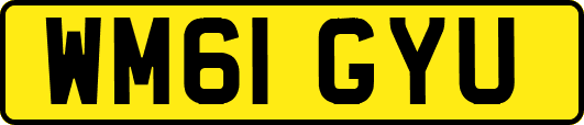 WM61GYU