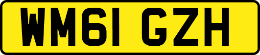 WM61GZH