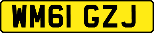 WM61GZJ