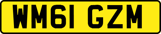 WM61GZM