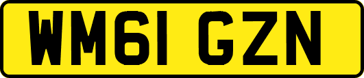 WM61GZN