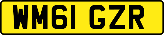 WM61GZR