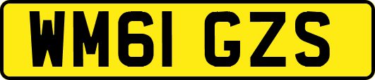 WM61GZS