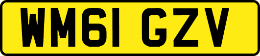 WM61GZV