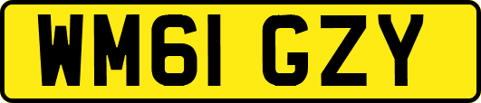 WM61GZY