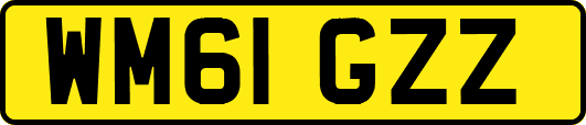 WM61GZZ