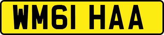 WM61HAA