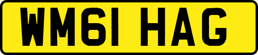 WM61HAG