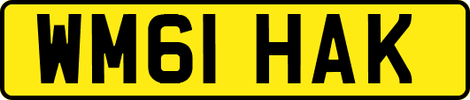 WM61HAK