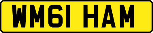WM61HAM