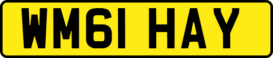 WM61HAY